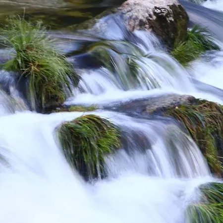 בית נופש As Casinhas De Loureda *