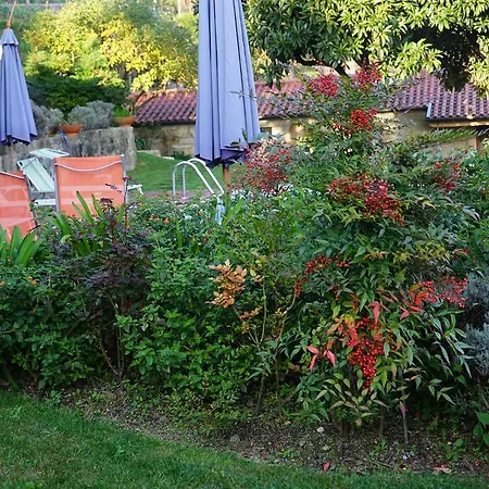 As Casinhas De Loureda * ארקוס דה ואלדבז